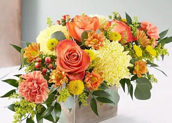 Jacksonville Florists Flowers of Jacksonville