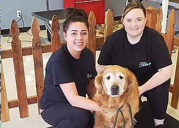 Cedar Rapids Pet Grooming Fluffy Butts Pet Spaw LLC