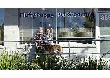 Fluffy Puppy Pet Grooming  Fremont Pet Grooming image 1