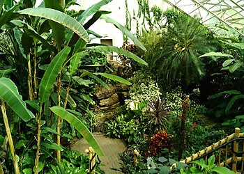 Fort Wayne Places To See Foellinger-Freimann Botanical Conservatory
