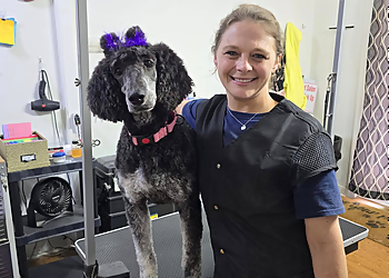 Jackson Pet Grooming Fondren Pet Salon