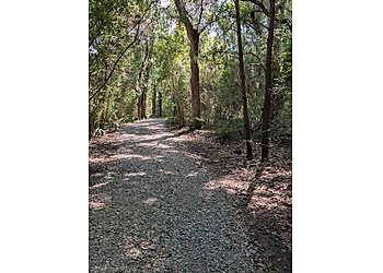 Fontainebleau State Park Fontainebleau State Park - New Orleans, LA Hiking Trails - Trail Image