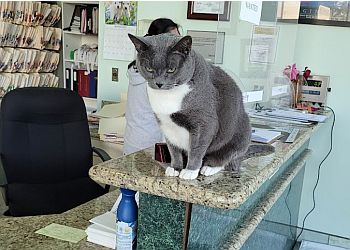 Fontana Veterinary Clinics Fontana Animal Hospital