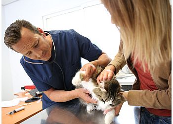 Fontana Veterinary Clinics Fontana Animal Hospital