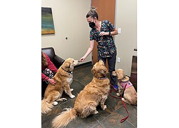 Sacramento Veterinary Clinics Foothill Farms Veterinary Hospital