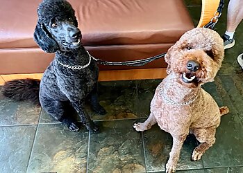 Sacramento Veterinary Clinics Foothill Farms Veterinary Hospital