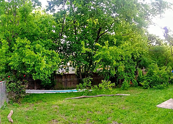 Killeen Tree Services Ford Tree Service