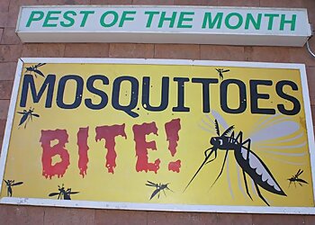 Worcester Pest Control Companies Ford's Hometown Services