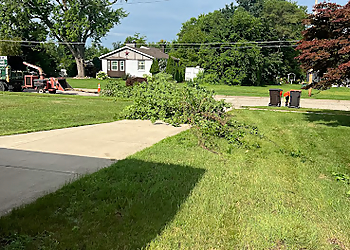 Grand Rapids Tree Services Forest Green Tree Service LLC