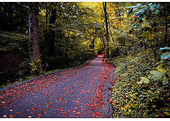 Richmond Hiking Trails Forest Hill Park