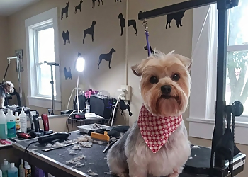 Forest Oaks Pet Grooming - Greensboro, NC Pet Grooming - Service Image
