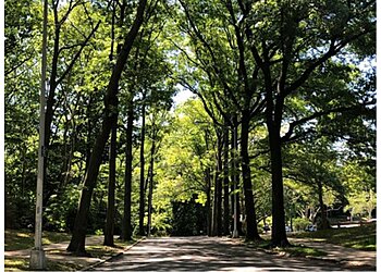 New York Hiking Trails Forest Park
