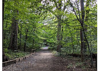 New York Hiking Trails Forest Park