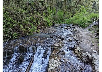 Portland Hiking Trails Forest Park