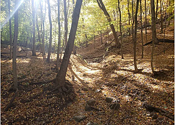 Peoria Hiking Trails Forest Park Nature Center