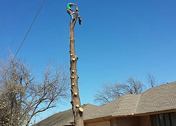 Oklahoma City Tree Services Forest Tree Service LLC
