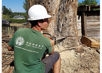 Forest Tree Services Inc - Santa Rosa, CA Tree Services - Team Working Image