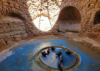 Fresno Places To See Forestiere Underground Gardens