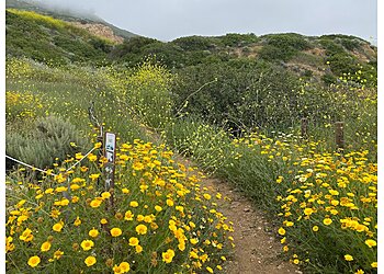 Torrance Hiking Trails Forrestal Nature Reserve