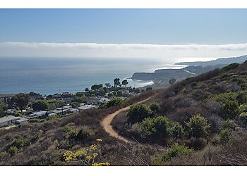 Forrestal Nature Reserve Torrance Hiking Trails image 1