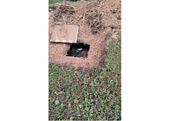 Forsyth Septic & Rooter Services - Winston Salem, NC Septic Tank Services - Field Work Image