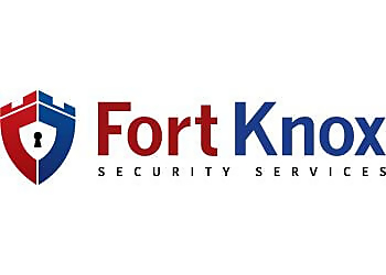 McKinney Security Systems Fort Knox