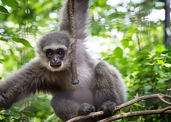 Fort Wayne Places To See Fort Wayne Children's Zoo