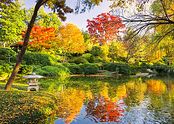 Fort Worth Places To See Fort Worth Botanic Garden