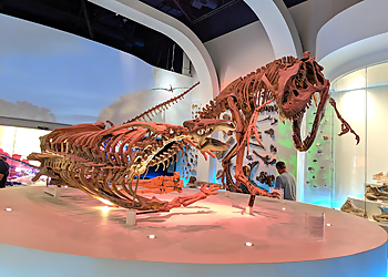 Fort Worth Landmarks Fort Worth Museum of Science and History