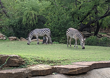 Fort Worth Places To See Fort Worth Zoo