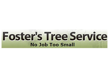 Columbus tree service Foster's Tree Service