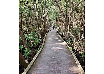 Cape Coral Hiking Trails Four Mile Cove Ecological Preserve
