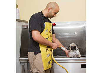 Olathe Pet Grooming Four Paws Pantry