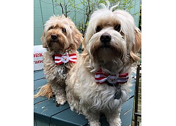 Santa Rosa Pet Grooming Four Paws Pet Ranch