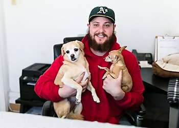 Four Paws Pet Ranch Santa Rosa Pet Grooming image 1