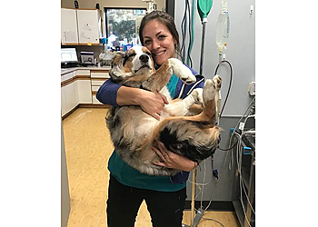 Lakewood Veterinary Clinics Fox Hollow Animal Hospital