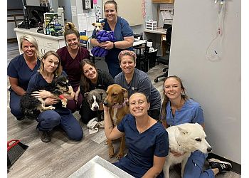 3 Best Veterinary Clinics in Lakewood, CO - ThreeBestRated