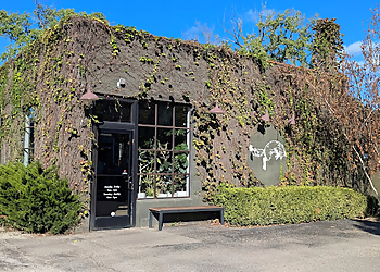 Columbus Cafe Fox In the Snow Cafe