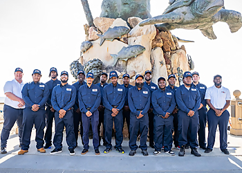 Chesapeake Pest Control Companies Fox Pest Control