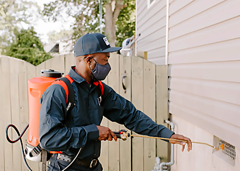 Chesapeake Pest Control Companies Fox Pest Control