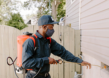 Manchester Pest Control Companies Fox Pest Control Manchester