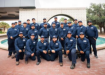 McAllen Pest Control Companies Fox Pest Control