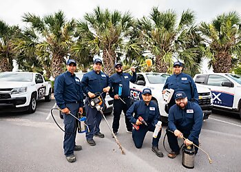 McAllen Pest Control Companies Fox Pest Control