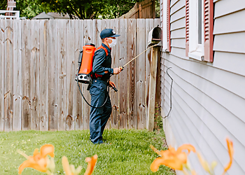 Rockford Pest Control Companies Fox Pest Control