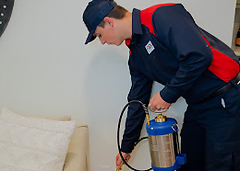 Rockford Pest Control Companies Fox Pest Control