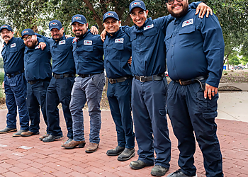 Buffalo Pest Control Companies Fox Pest Control Buffalo