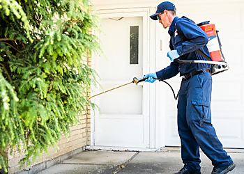 Buffalo Pest Control Companies Fox Pest Control Buffalo