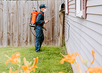 Cambridge Pest Control Companies Fox Pest Control Cambridge