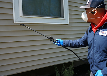 Cambridge Pest Control Companies Fox Pest Control Cambridge