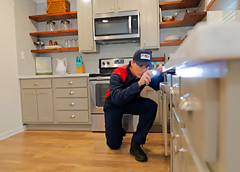 Cedar Rapids Pest Control Companies Fox Pest Control Iowa City